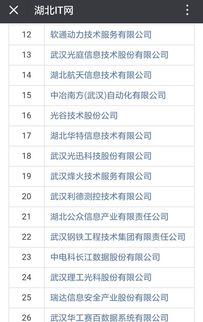 祝贺湖北47家企业获评系统集成资质壹级和贰级 计算机信息系统集成服务再上层楼